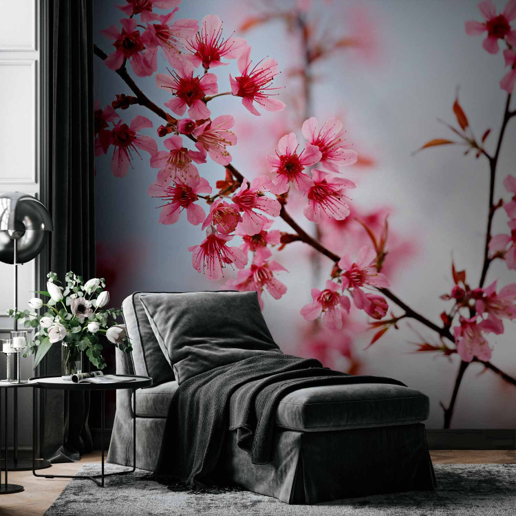 Wall Mural Symbol of Japan - Cherry Blossom Sakura - Bright Japanese Floral Motif 60657