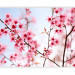 Wall Mural Symbol of Japan - Cherry Blossom Sakura - Bright Japanese Floral Motif 60657 additionalThumb 5