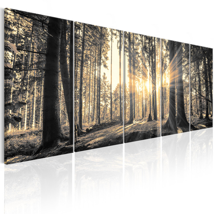 Canvas Art Print Guardians of Shadow (5-piece) - Forest in the Glow of Sunrise 98557 additionalImage 2