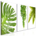 Canvas Art Print Beautiful Palm Trees (3 Parts) 108567 additionalThumb 2