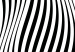 Canvas Art Print Psychedelic Waves (1-part) - Abstraction in Black and White Background 115067 additionalThumb 5