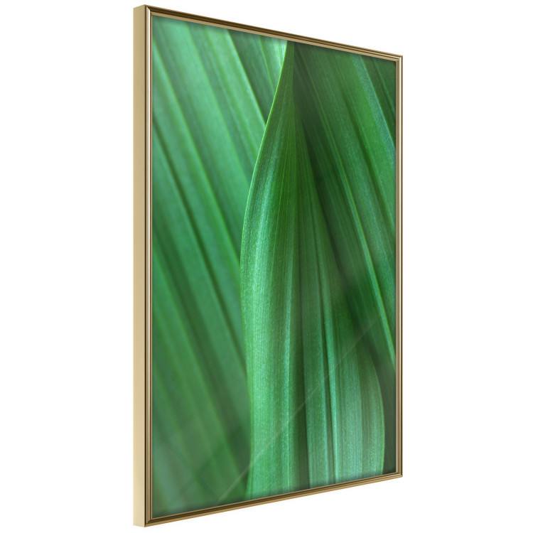 Poster Leaf Texture - composition with a green plant motif 116967 additionalImage 14