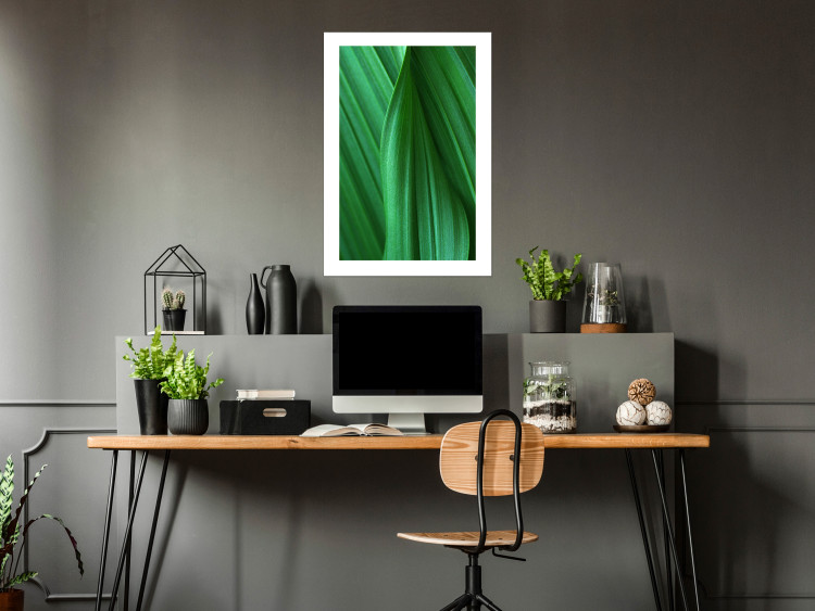 Poster Leaf Texture - composition with a green plant motif 116967 additionalImage 4
