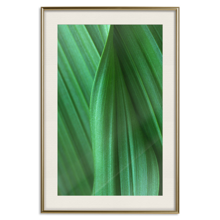 Poster Leaf Texture - composition with a green plant motif 116967 additionalImage 19