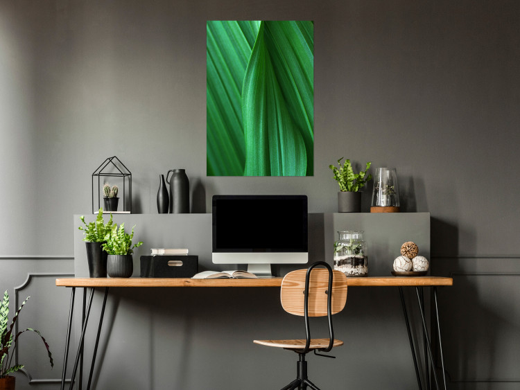 Poster Leaf Texture - composition with a green plant motif 116967 additionalImage 23