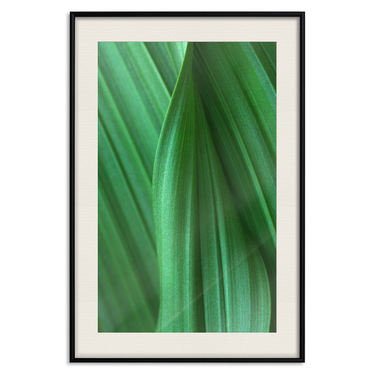 Poster Leaf Texture - composition with a green plant motif 116967 additionalImage 18