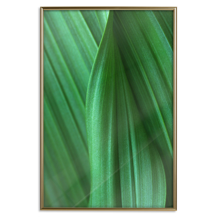 Poster Leaf Texture - composition with a green plant motif 116967 additionalImage 20