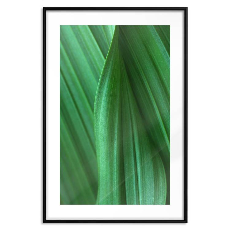 Poster Leaf Texture - composition with a green plant motif 116967 additionalImage 15