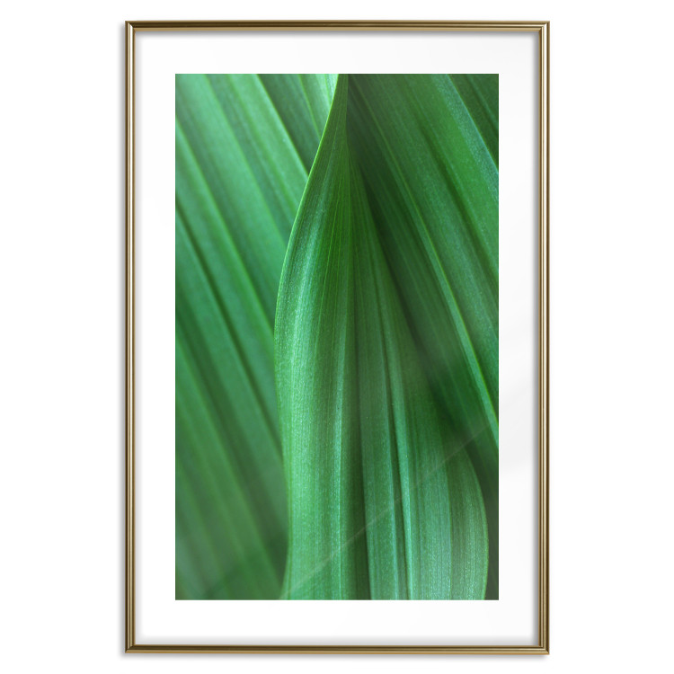 Poster Leaf Texture - composition with a green plant motif 116967 additionalImage 14