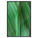 Poster Leaf Texture - composition with a green plant motif 116967 additionalThumb 18