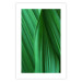 Poster Leaf Texture - composition with a green plant motif 116967 additionalThumb 25