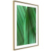Poster Leaf Texture - composition with a green plant motif 116967 additionalThumb 8