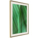 Poster Leaf Texture - composition with a green plant motif 116967 additionalThumb 2