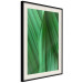 Poster Leaf Texture - composition with a green plant motif 116967 additionalThumb 3