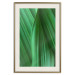 Poster Leaf Texture - composition with a green plant motif 116967 additionalThumb 19