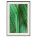 Poster Leaf Texture - composition with a green plant motif 116967 additionalThumb 18