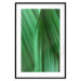 Poster Leaf Texture - composition with a green plant motif 116967 additionalThumb 15