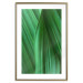 Poster Leaf Texture - composition with a green plant motif 116967 additionalThumb 16