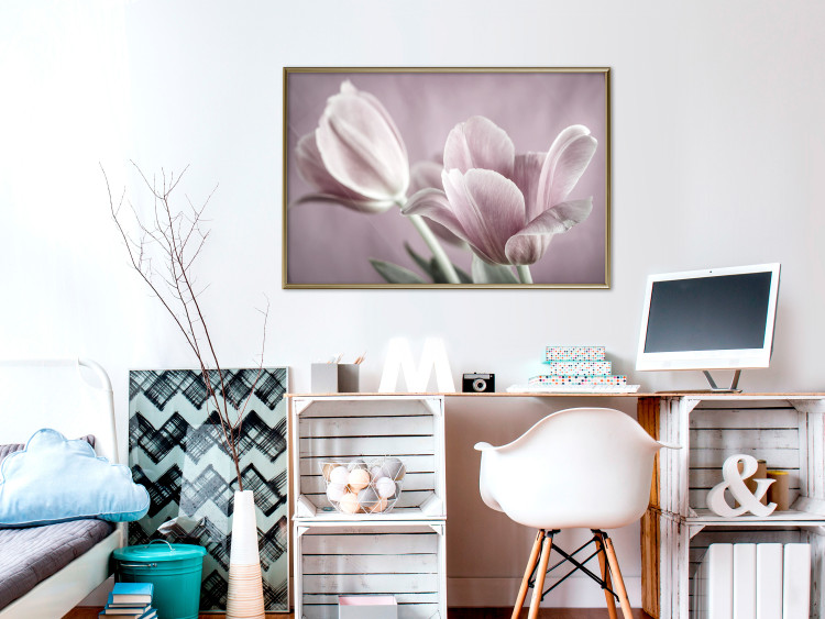 Wall Poster Pink Tulips - powdery petals of spring flowers on a pink background 117167 additionalImage 5
