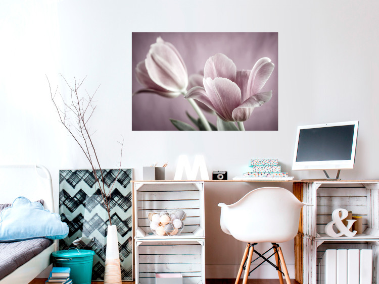 Wall Poster Pink Tulips - powdery petals of spring flowers on a pink background 117167 additionalImage 17