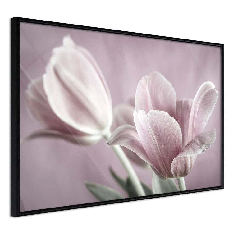 Wall gallery Tulip Dream II 124867 additionalImage 4