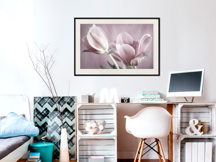 Wall Poster Pink Tulips - powdery petals of spring flowers on a pink background 117167 additionalImage 22