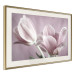 Wall Poster Pink Tulips - powdery petals of spring flowers on a pink background 117167 additionalThumb 2
