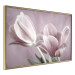 Wall Poster Pink Tulips - powdery petals of spring flowers on a pink background 117167 additionalThumb 14