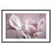 Wall Poster Pink Tulips - powdery petals of spring flowers on a pink background 117167 additionalThumb 15