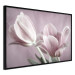 Wall Poster Pink Tulips - powdery petals of spring flowers on a pink background 117167 additionalThumb 12
