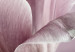 Wall Poster Pink Tulips - powdery petals of spring flowers on a pink background 117167 additionalThumb 10