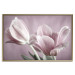 Wall Poster Pink Tulips - powdery petals of spring flowers on a pink background 117167 additionalThumb 20