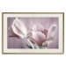 Wall Poster Pink Tulips - powdery petals of spring flowers on a pink background 117167 additionalThumb 19