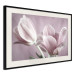 Wall Poster Pink Tulips - powdery petals of spring flowers on a pink background 117167 additionalThumb 3