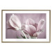 Wall Poster Pink Tulips - powdery petals of spring flowers on a pink background 117167 additionalThumb 16