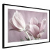 Wall Poster Pink Tulips - powdery petals of spring flowers on a pink background 117167 additionalThumb 11