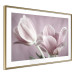 Wall Poster Pink Tulips - powdery petals of spring flowers on a pink background 117167 additionalThumb 6