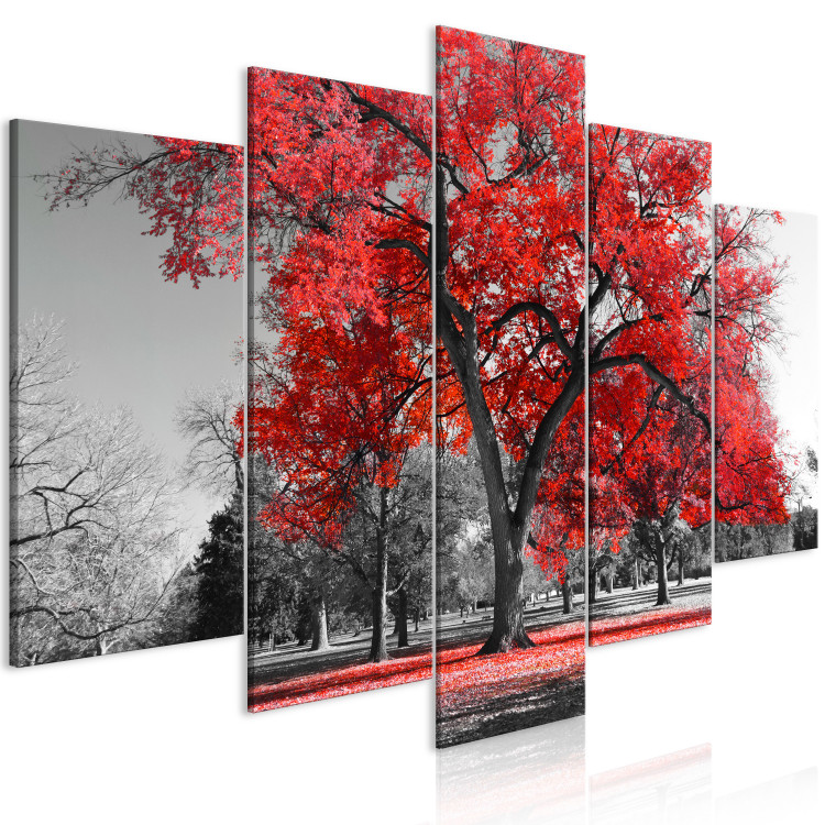 Canvas Print Autumn in the Park (5 Parts) Wide Red 122767 additionalImage 2