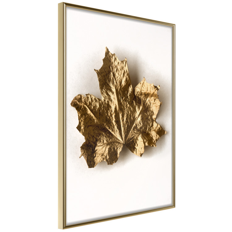 Wall Poster Golden Maple - leaf covered with a thin layer of gold lying on white background 124967 additionalImage 14