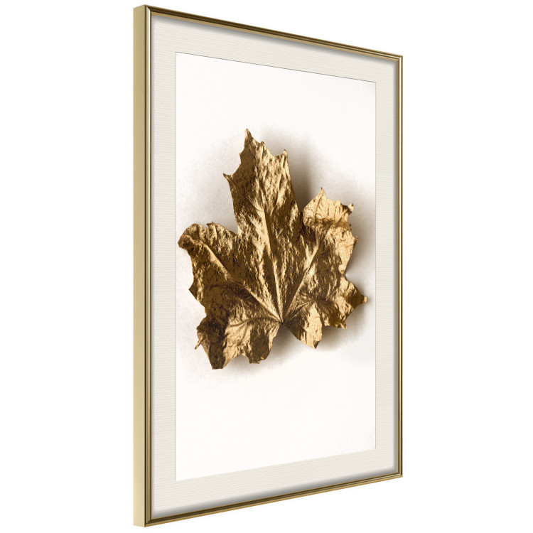Wall Poster Golden Maple - leaf covered with a thin layer of gold lying on white background 124967 additionalImage 2