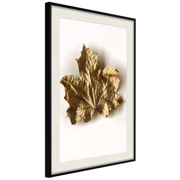 Wall Poster Golden Maple - leaf covered with a thin layer of gold lying on white background 124967 additionalImage 3