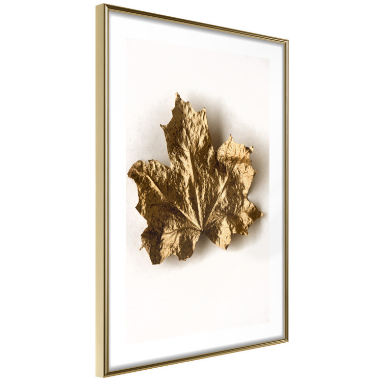 Wall Poster Golden Maple - leaf covered with a thin layer of gold lying on white background 124967 additionalImage 8