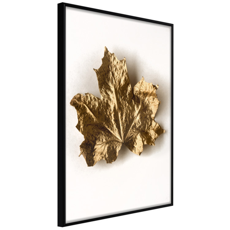 Wall Poster Golden Maple - leaf covered with a thin layer of gold lying on white background 124967 additionalImage 10