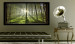 Large canvas print Dawn in the Forest II [Large Format] 125567 additionalThumb 6