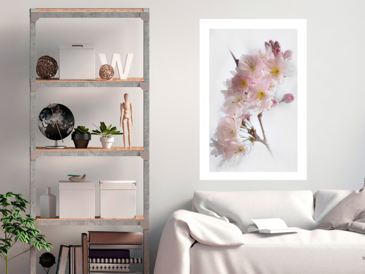 Wall Poster Spring in Japan - branch with pink flowers on a bright white background 125867 additionalImage 2