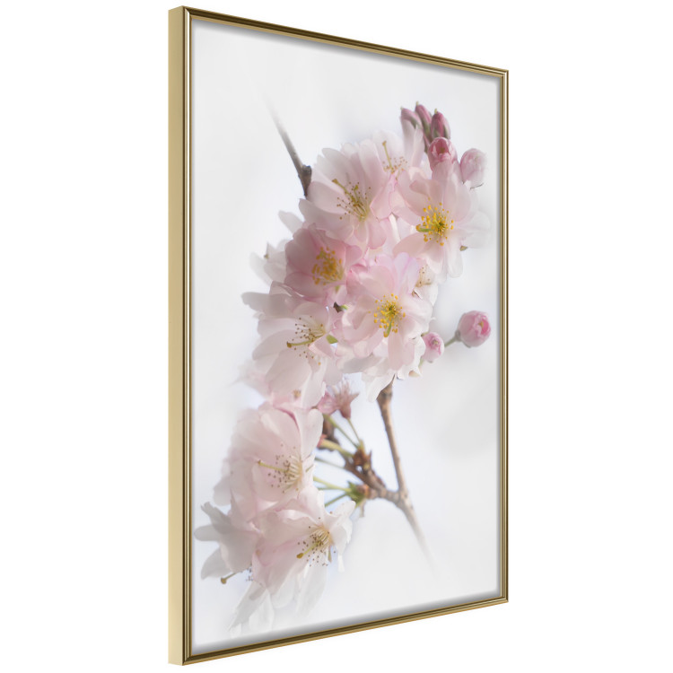 Wall Poster Spring in Japan - branch with pink flowers on a bright white background 125867 additionalImage 12