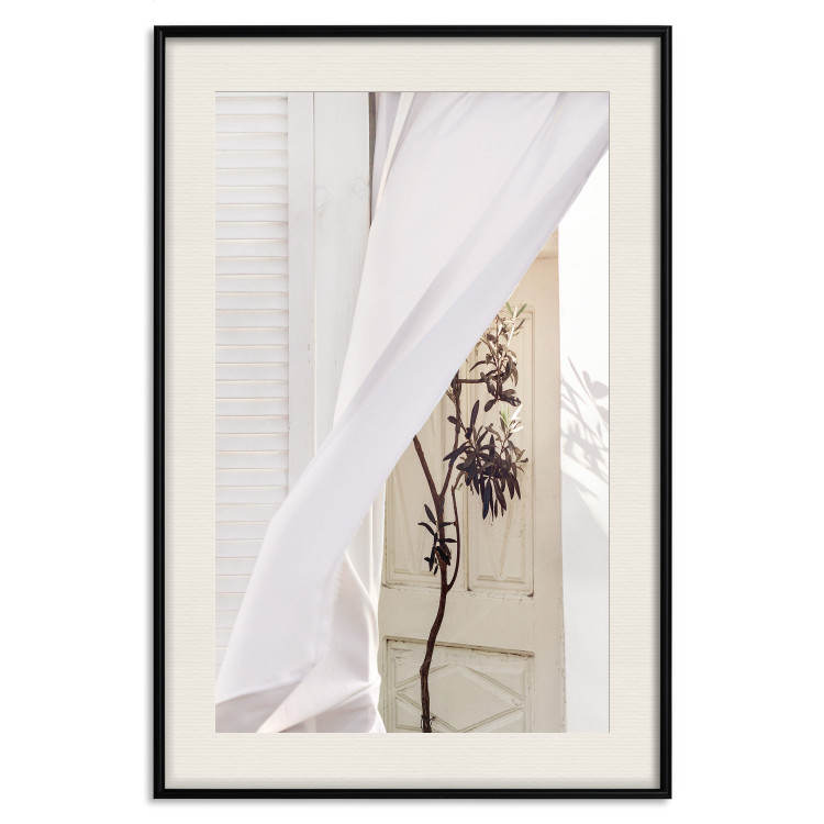 Poster Mystery of the Wind - composition with plant against white architecture 129467 additionalImage 19