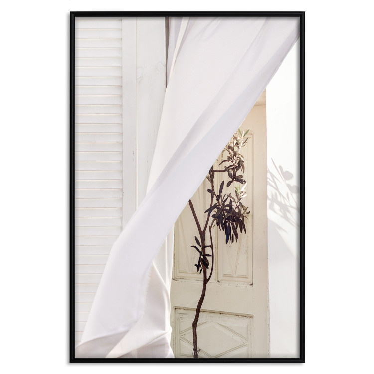 Poster Mystery of the Wind - composition with plant against white architecture 129467 additionalImage 18