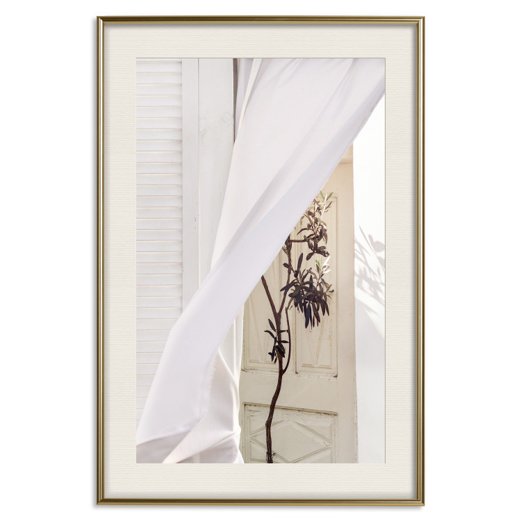 Poster Mystery of the Wind - composition with plant against white architecture 129467 additionalImage 20