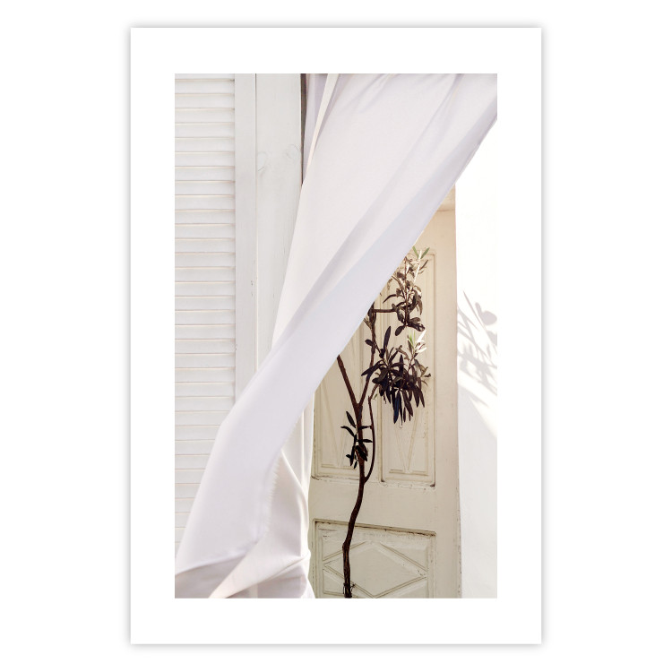 Poster Mystery of the Wind - composition with plant against white architecture 129467 additionalImage 25